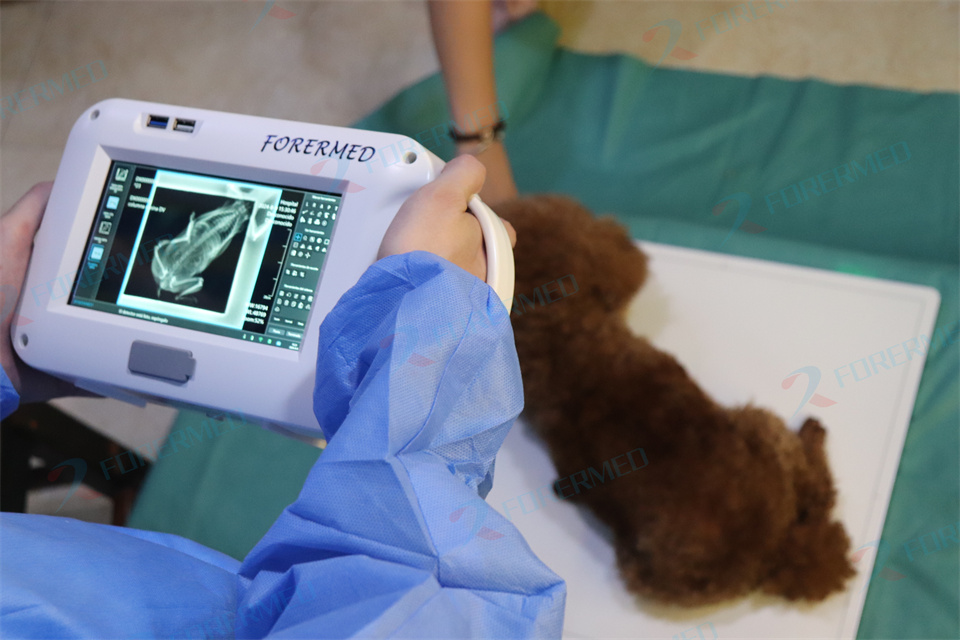 Mesin Xray Hewan Mini Klinik H - Vet Tech Accessories ulasan dan harga