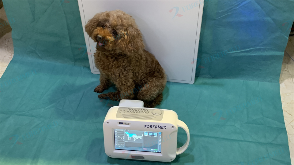 Mesin Xray Hewan Mini Klinik H - Vet Tech Accessories ulasan dan harga